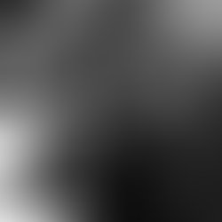 Walt on alto sax lee s liquor lounge