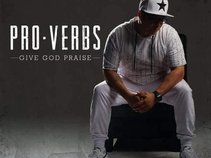 Pro-Verbs