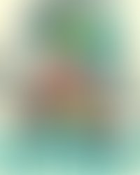 1648753409207