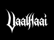 VaalHaai