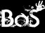 BOS Muzik Group