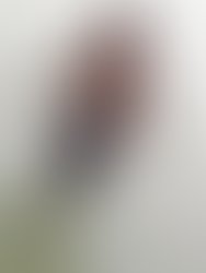 Img 20210221 131824 148