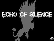 Echo Of Silence