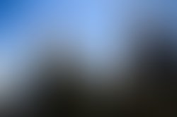 Joel lopata photo01426 1298918661