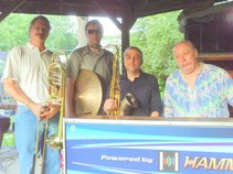 Great Swamp Blues Band