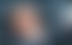 Renee wahl kneeling van crop