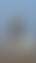 Fd10141b 45e8 4d59 bc45 37186e0b39d3