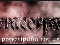 TerracorpsE