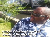 Olusheyi Banjo