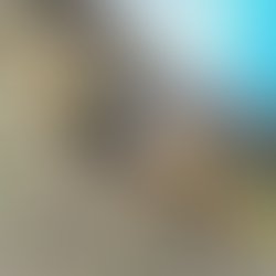 Img 20210313 164947 612