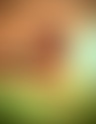 Photo 1423149248