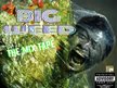 Brilliant Lab Productions
