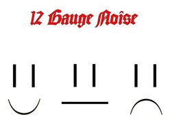 Image for 12 Gauge Noise