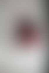 Resized img 8222 12981824981869