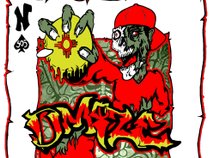 DMIZE