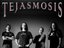 TEJASMOSIS (Artist)