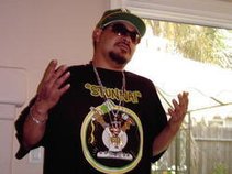 "STACK STUNNA" (*HELLWIG*)