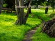 Newest Path Records/Vibrant Music For A Vibrant New World