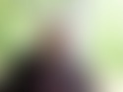 May pic 02 landscape