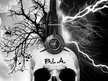 Los B.L.A.
