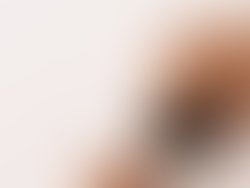 66d55837 2250 4580 a0fc 79be96f812c5