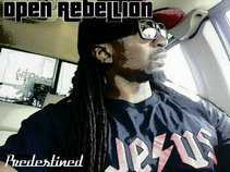 Predestined-Bloodbought Misfit