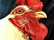 Guilhermoso Wild Chicken