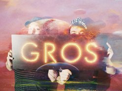 Image for Gros