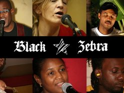 Image for Black Zebra