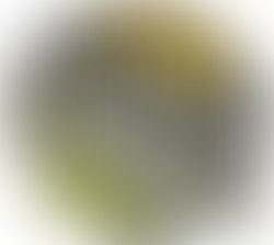 1338313321 baroness logocolor