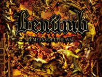 Benumb