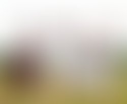 1329692586 spp 045 b