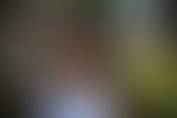 Long live love proofs all 0064188