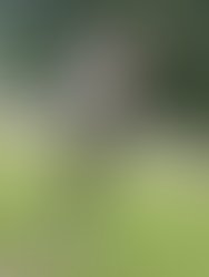 51b4e849 31fe 4a5e a93d fc68b8d6ba65