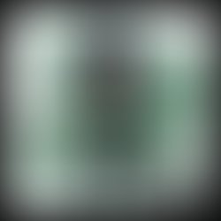 Lil monnie 23 ddistrokid cover 