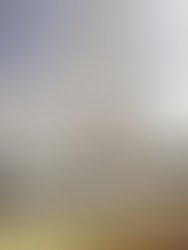 Artist 7392747 1627863019