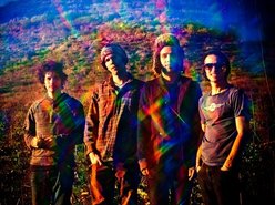 Image for Infantree