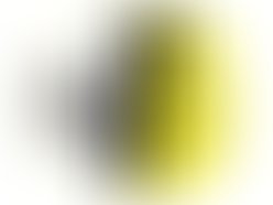 Logo vanilla base copia