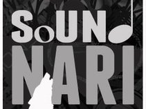 sound NARI