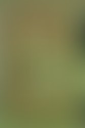 Artist 6633632 1565371400