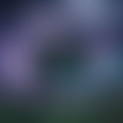 Albumcover0012227 2026 00 01 12 45 47