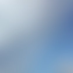 Artist 7402481 1628734457