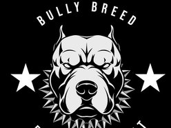 BullyBreedEnt