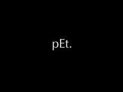ReverbNation profile picture for @pet
