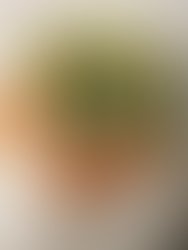 Artist 7413710 1629767313