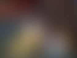 Inbound49134496724845529