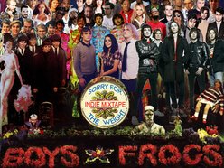 Image for Boys and Frogs