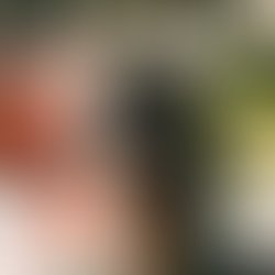 Fb img 16366637020897676