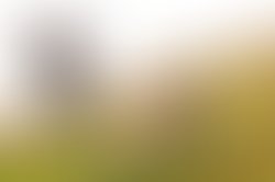 Hillstomp2 1278743203