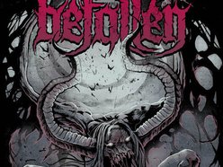 Image for Befallen